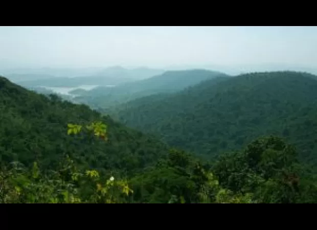 India ranks 39th in the WEF global travel and tourism index.