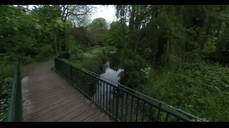 Skeleton discovered in river in south London.