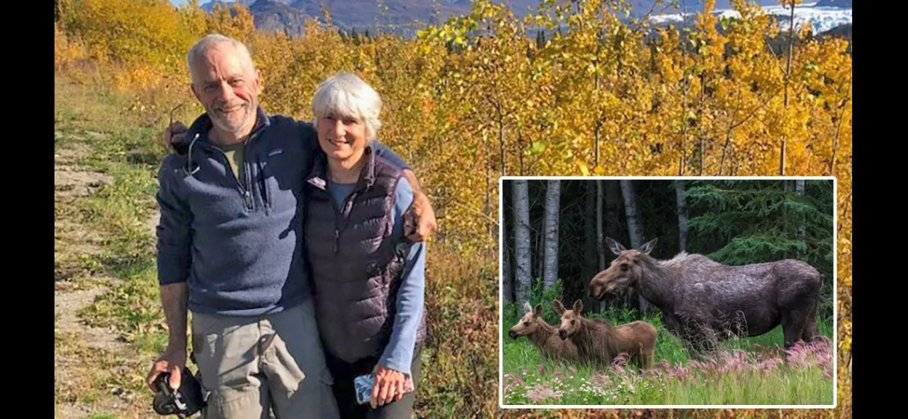 A mother moose fatally attacks a man who was attempting to photograph her new calves.