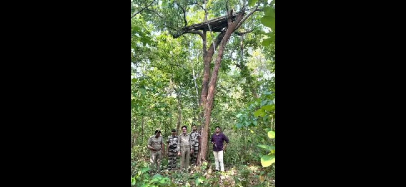Officials start counting elephants in Nayagarh and Boudh.