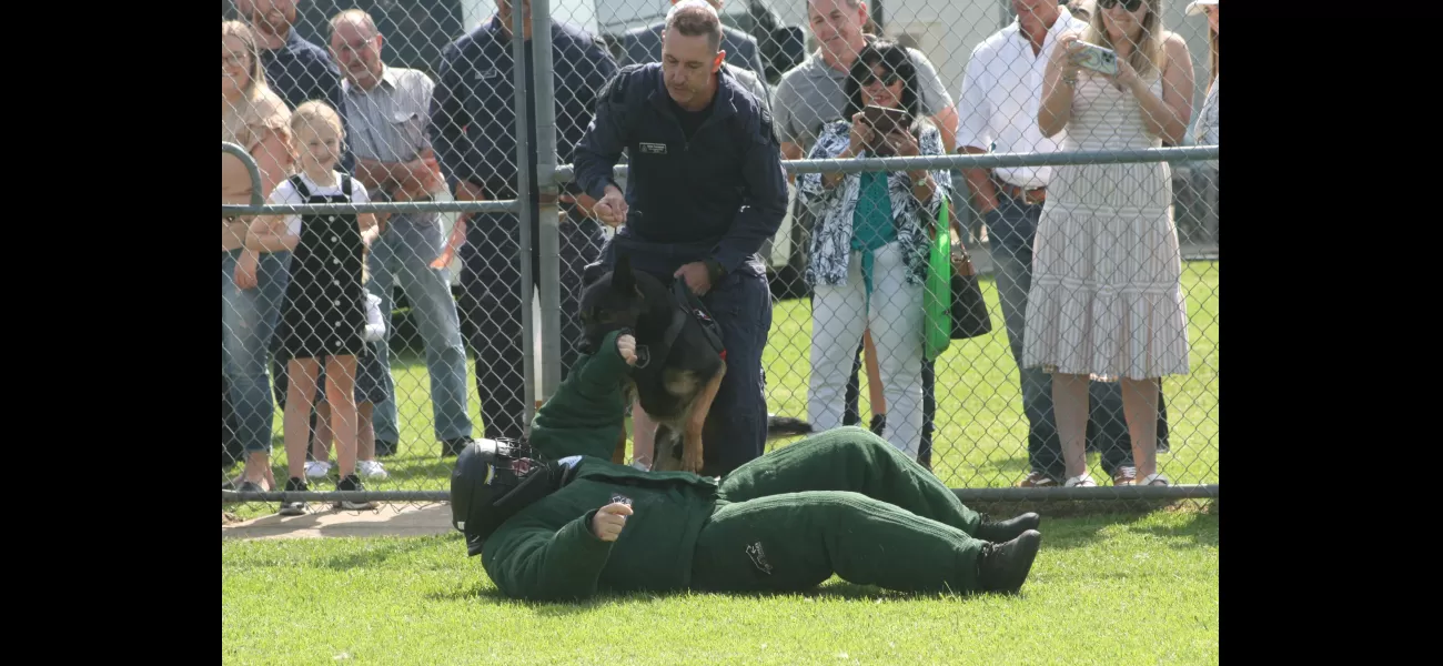 New breed of dogs trained to detect illegal items in jail