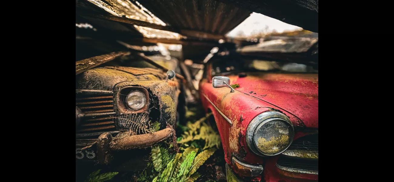 A woman discovers a collection of 50 classic cars in a decaying barn surrounded by a forest.