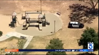 A young boy was discovered deceased in a playground and his father was taken into custody.