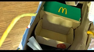 DoorDash customer plays a prank on McDonald's by ordering a burger with all toppings removed.