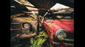 A woman discovers a collection of 50 classic cars in a decaying barn surrounded by a forest.