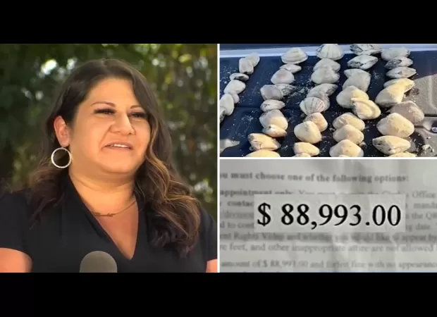 Mom fined $88K for kids' mistaken clam collection on beach.