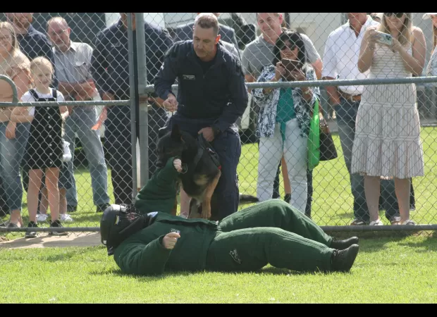 New breed of dogs trained to detect illegal items in jail