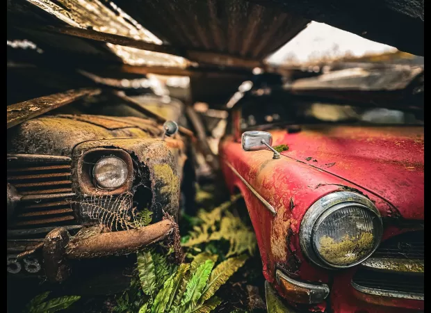 A woman discovers a collection of 50 classic cars in a decaying barn surrounded by a forest.