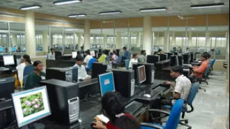 Report shows that cities with a strong tech presence have seen a notable increase in employment opportunities in the IT sector.