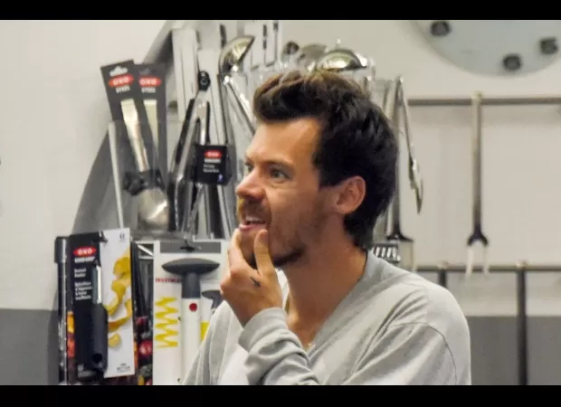 Harry Styles shows off new beard while shopping for kitchen supplies following split.