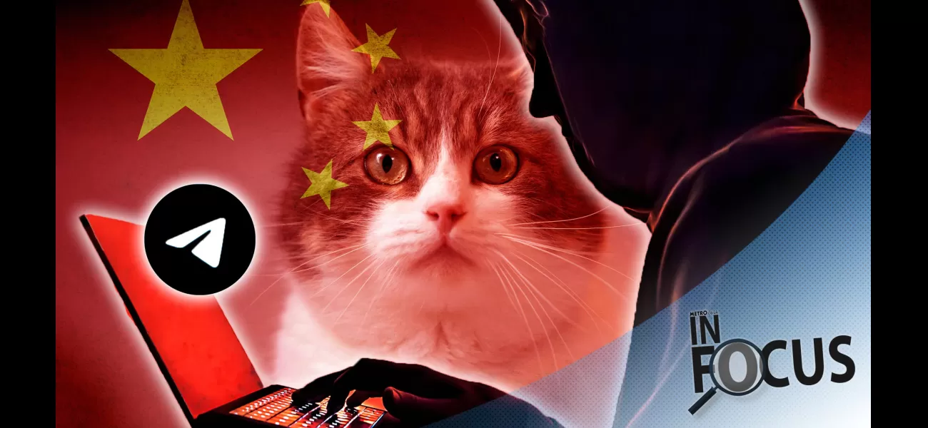 A social media trend involving the abuse of cats is gaining attention.