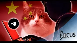 A social media trend involving the abuse of cats is gaining attention.