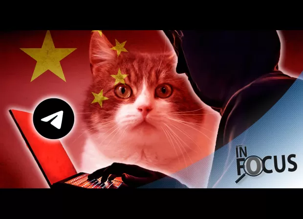 A social media trend involving the abuse of cats is gaining attention.