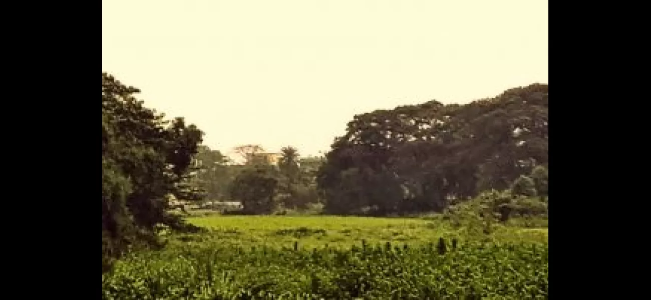 Odisha's Gobari river, once always flowing, now needs to be restored.