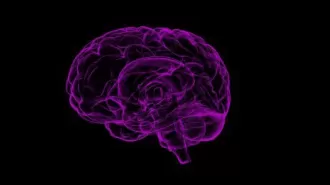 Researchers find connection between stuttering and specific brain network in study of neurological condition.