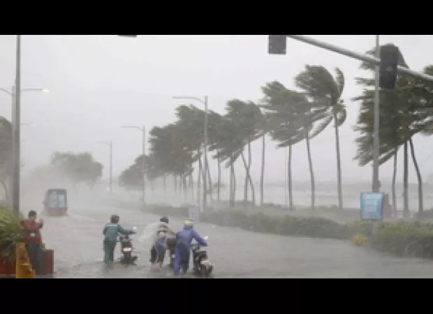 13 deaths reported in Telangana due to severe rainfall and strong winds.