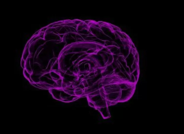 Researchers find connection between stuttering and specific brain network in study of neurological condition.