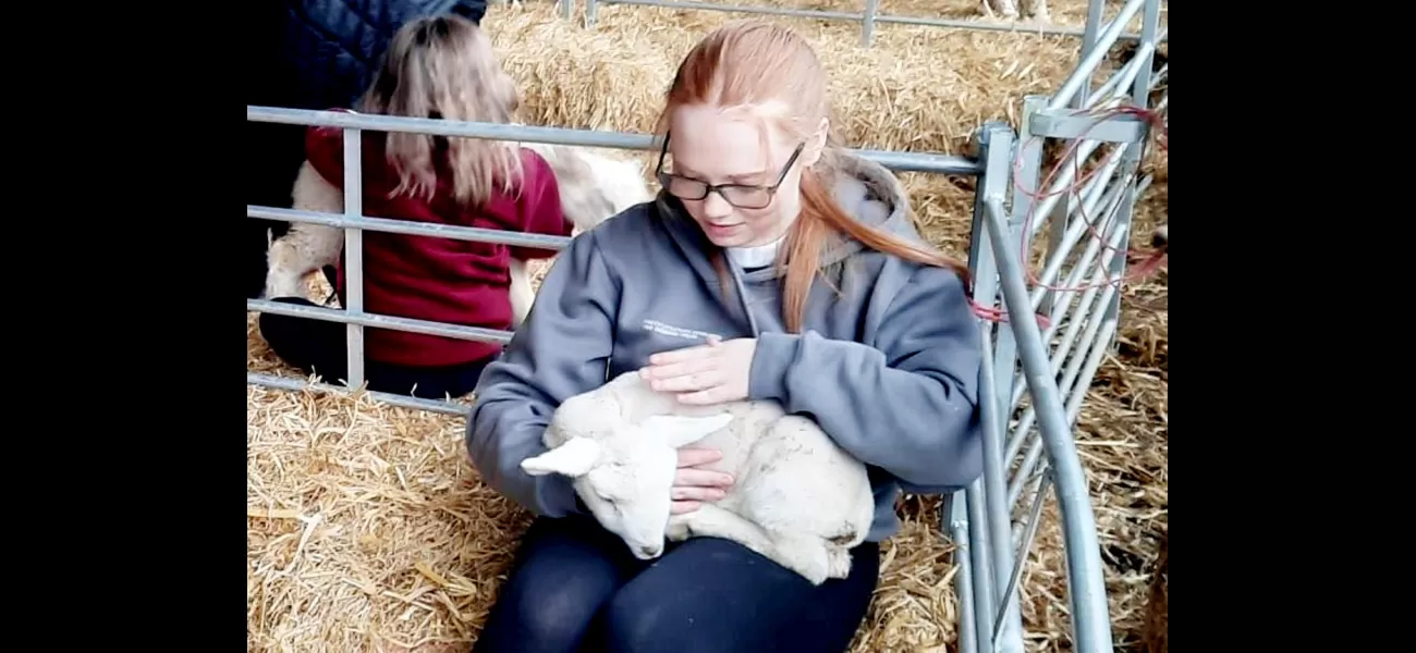 Kids got sick from petting zoo, vomiting and diarrhea.