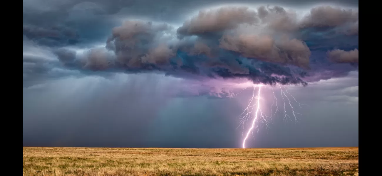 A rancher and his herd of 34 cows were killed by a lightning strike while he was feeding them.