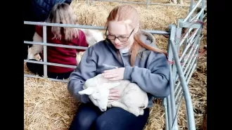 Kids got sick from petting zoo, vomiting and diarrhea.