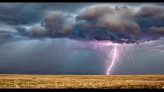 A rancher and his herd of 34 cows were killed by a lightning strike while he was feeding them.