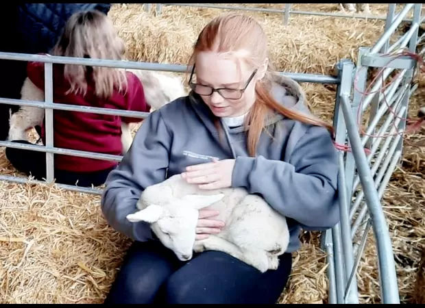 Kids got sick from petting zoo, vomiting and diarrhea.