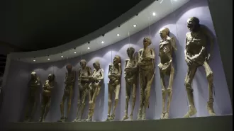Museum staff cause damage to famous mummy's arm due to mishandling.