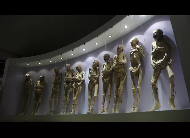 Museum staff cause damage to famous mummy's arm due to mishandling.