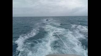 Two fishermen were saved after their dinghy became lost in the Torres Strait.