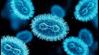 10 people in Queensland have been diagnosed with MPOX, according to Queensland Health.
