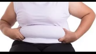 Obesity may lead to early puberty in girls, according to Harvard University's research.
