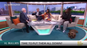 TV host Ranvir Singh stops intense discussion on XL bullying during heated argument on Good Morning Britain.