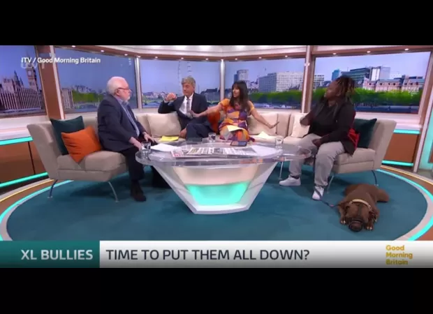 TV host Ranvir Singh stops intense discussion on XL bullying during heated argument on Good Morning Britain.