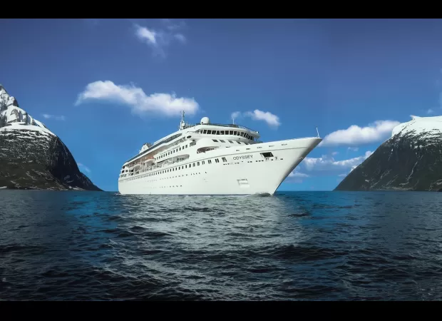 A couple is selling their home to live on a cheaper, never-ending cruise.