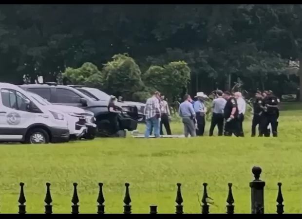 Woman's body discovered inside alligator's mouth during murder probe.