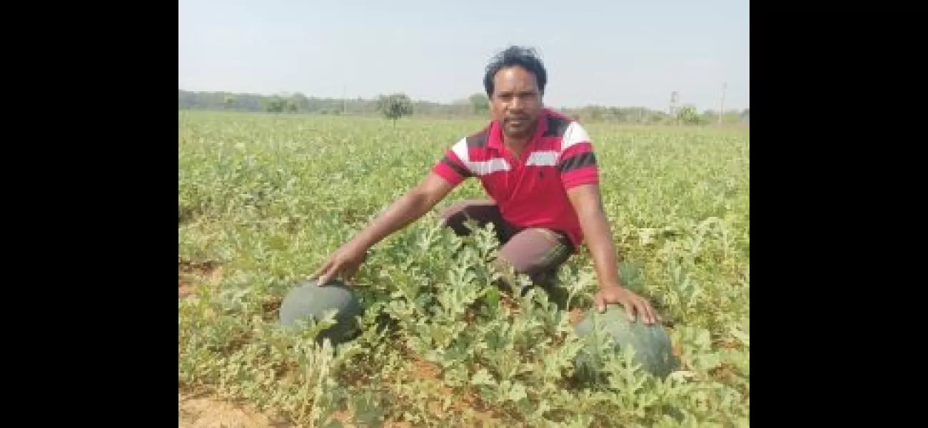 'WADI' initiative improves quality of life for forward-thinking tribal farmers.