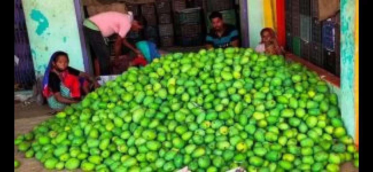 Despite the season, mango farmers are making money.