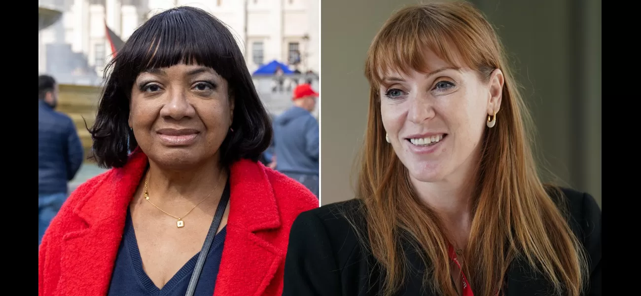 Rayner believes that some Labour members have been unfair towards Diane Abbott.
