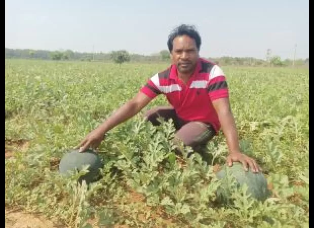 'WADI' initiative improves quality of life for forward-thinking tribal farmers.