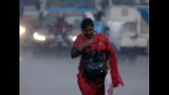 El Niño coming to an end, high likelihood of La Niña forming in July-Sept according to WMO.