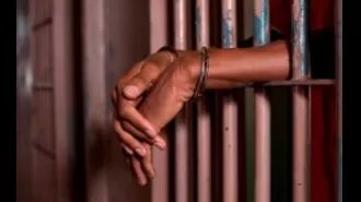 Two individuals who committed crimes against wildlife were taken into custody.