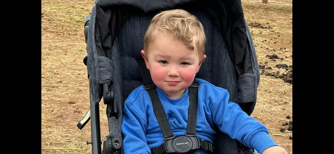 A family is devastated after a toddler drowns in a dam in Victoria.