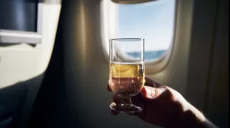Don't consume alcohol before sleeping on a flight as it can have negative effects on your current and future well-being.