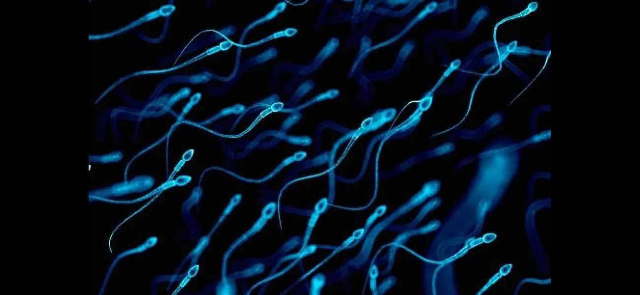 Men's sperm counts are increasing, which is positive news.