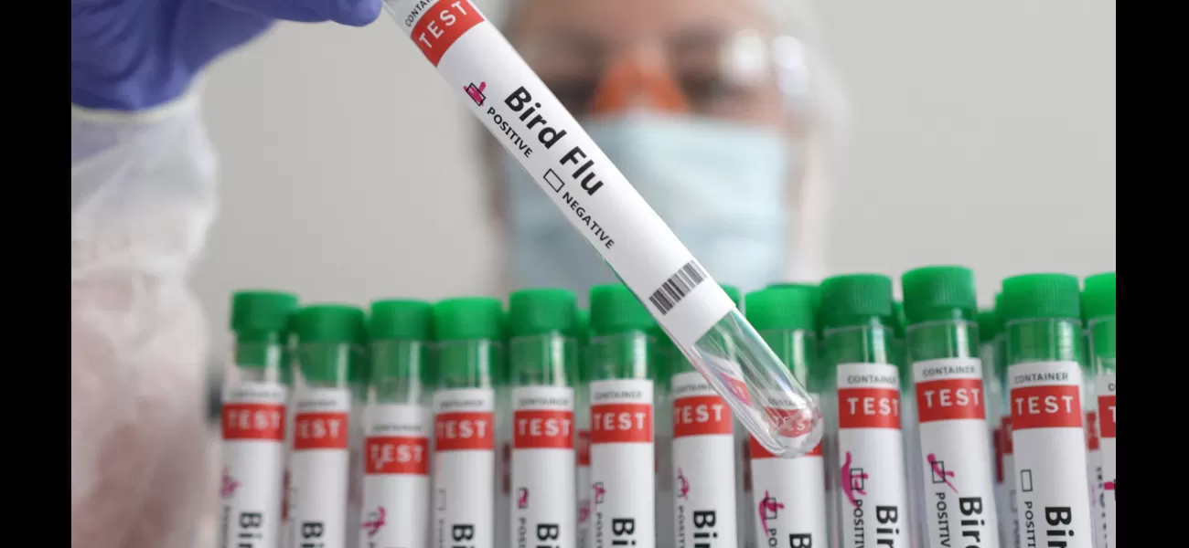 Newly discovered bird flu strain kills human for first time.