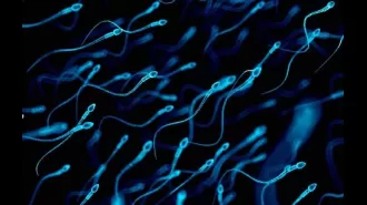 Men's sperm counts are increasing, which is positive news.