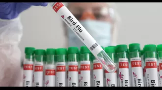 Newly discovered bird flu strain kills human for first time.