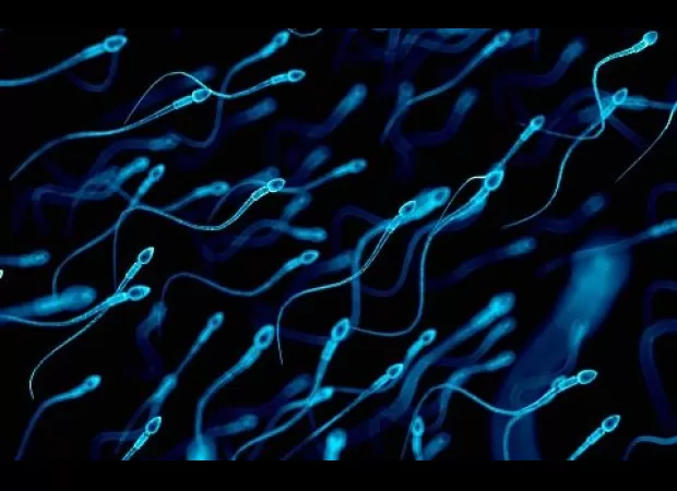 Men's sperm counts are increasing, which is positive news.
