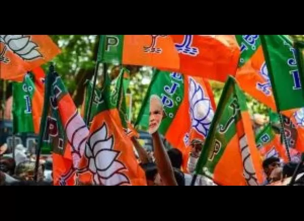 Rating agencies face obstacles to reform agenda as BJP holds slim majority.