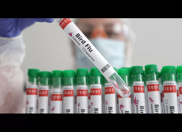 Newly discovered bird flu strain kills human for first time.